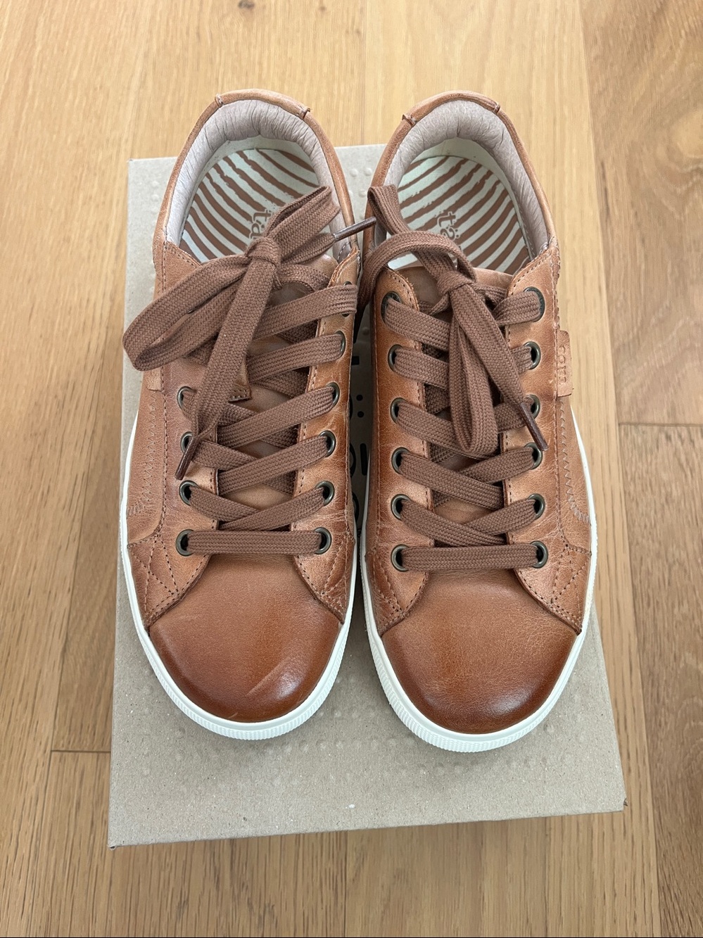 Taos Plim Soul Lux Leather Sneakers